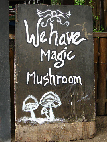 Name:  magic mushrooms.jpg
Hits: 1153
Größe:  144,6 KB