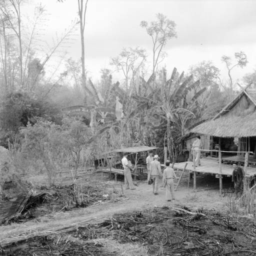 Name:  Sukhothai 1948 - Dorfleben-1.jpg
Hits: 189
Größe:  44,7 KB