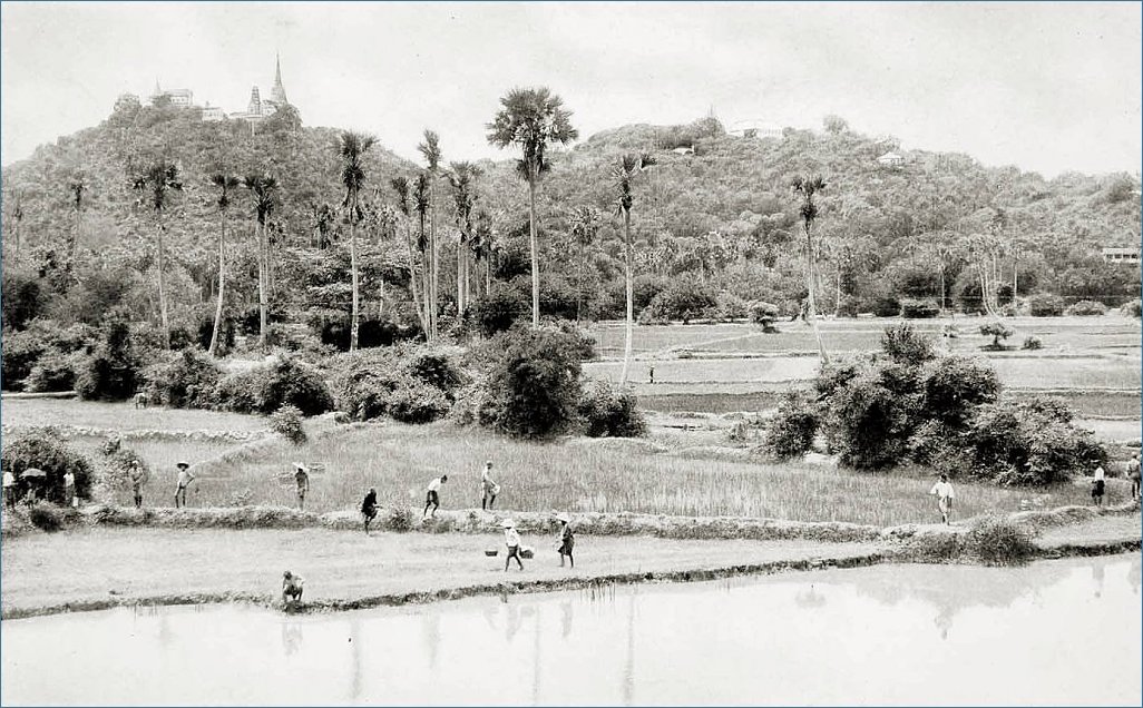Klicke auf die Grafik für eine größere Ansicht 

Name:	Petchaburi-1897.jpg 
Hits:	235 
Größe:	158,0 KB 
ID:	6184