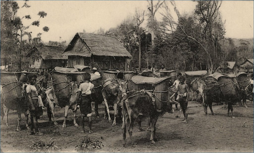 Klicke auf die Grafik für eine größere Ansicht 

Name:	Laos 1910.jpg 
Hits:	328 
Größe:	150,2 KB 
ID:	7861